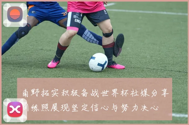 南野拓实积极备战世界杯社媒分享训练照展现坚定信心与努力决心