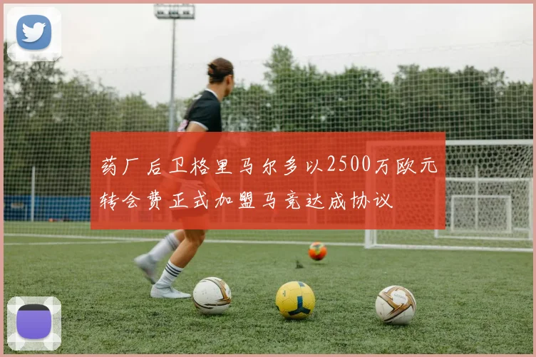 药厂后卫格里马尔多以2500万欧元转会费正式加盟马竞达成协议